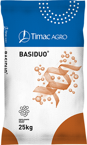 BASIDUO STD