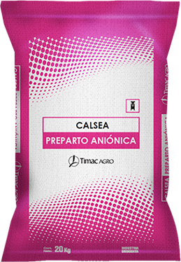 CALSEA PREPARTO ANIONICA