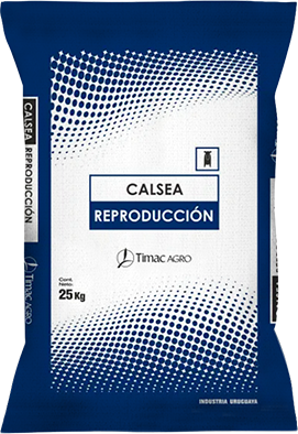 CALSEA REPRODUCCION