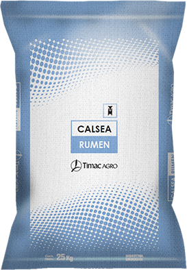 CALSEA RUMEN