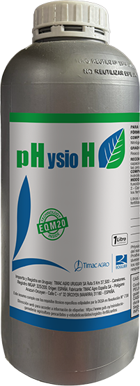PHYSIO H