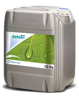 PROGEN DETOX