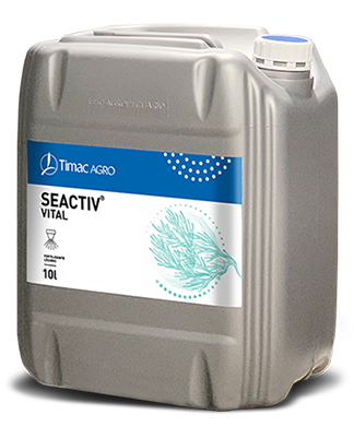 SEACTIV VITAL